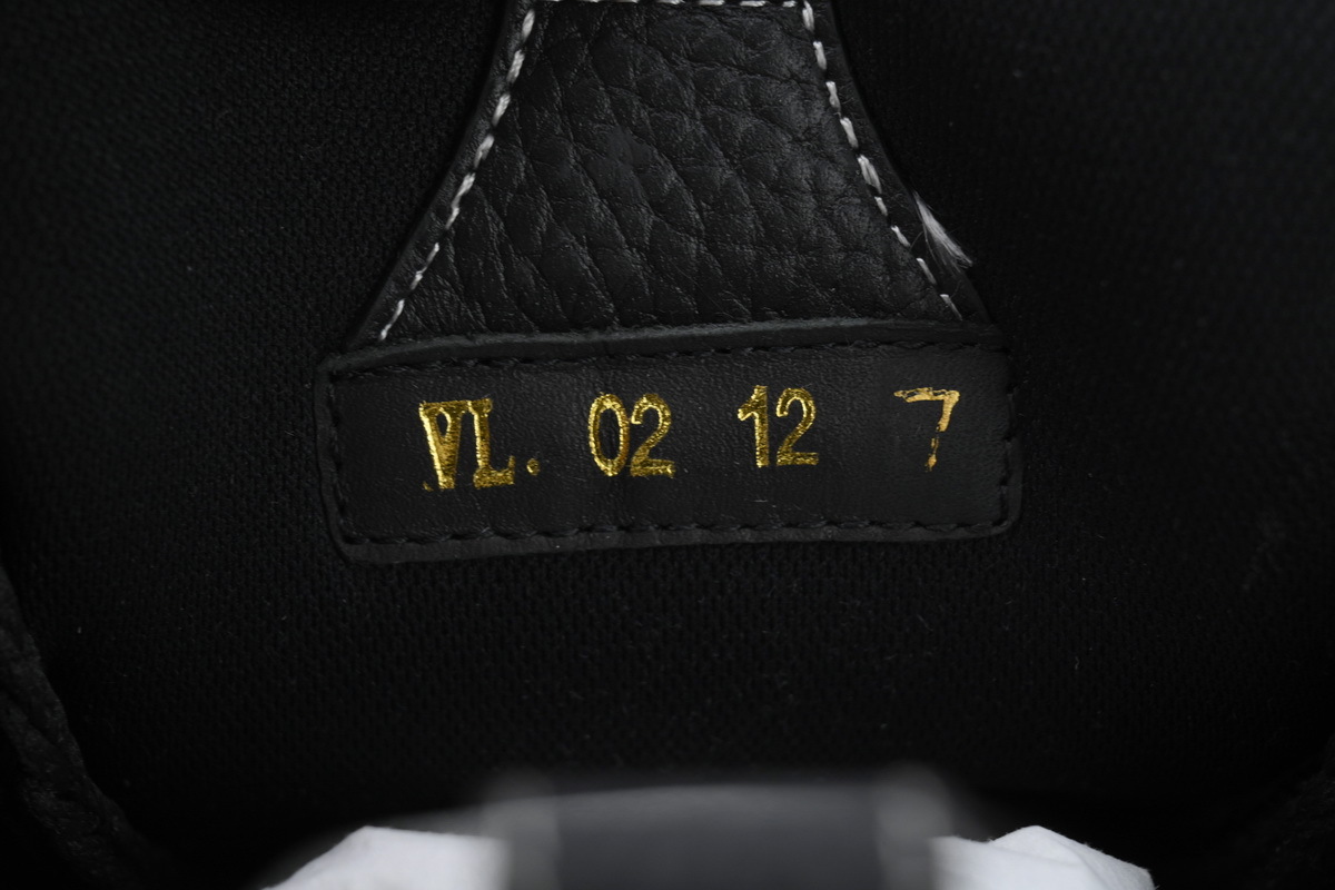 Louis Vuitton Skate Sneaker Black